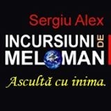 Sigla INCURSIUNI